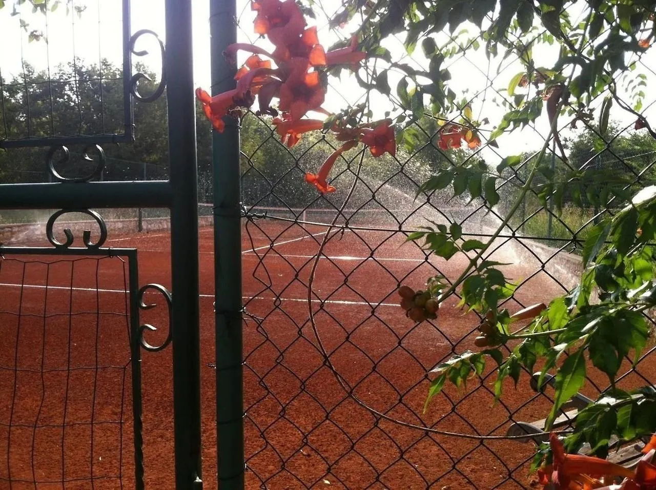 Ferienvilla Lucia Mit Pool Und Eigenem Tennisplatz Funtana Holiday home